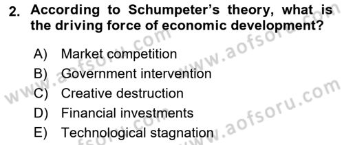 Economics Of Science Technology And İnnovation Dersi 2024 - 2025 Yılı Yaz Okulu Sınav Soruları 2. Soru