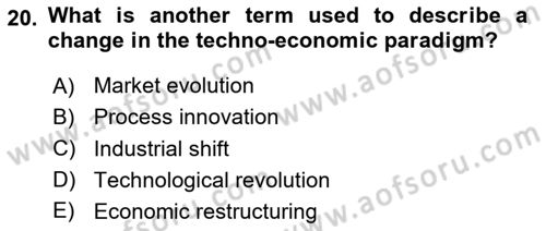 Economics Of Science Technology And İnnovation Dersi 2024 - 2025 Yılı Yaz Okulu Sınav Soruları 20. Soru