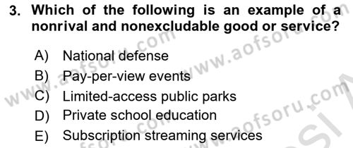 Economics Of Science Technology And İnnovation Dersi 2024 - 2025 Yılı Yaz Okulu Sınav Soruları 3. Soru