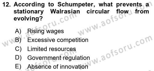 Economics Of Science Technology And İnnovation Dersi 2025 - 2026 Yılı (Vize) Ara Sınav Soruları 12. Soru