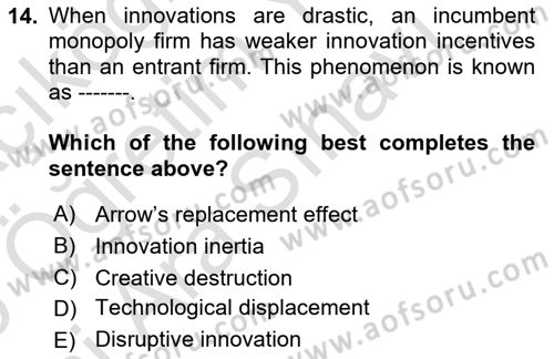 Economics Of Science Technology And İnnovation Dersi 2025 - 2026 Yılı (Vize) Ara Sınav Soruları 14. Soru