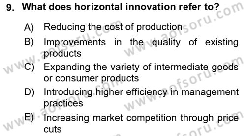 Economics Of Science Technology And İnnovation Dersi 2025 - 2026 Yılı (Vize) Ara Sınav Soruları 9. Soru