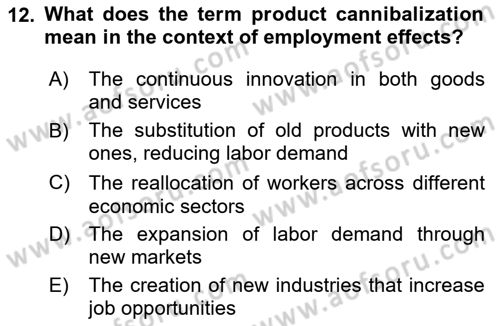 Economics Of Science Technology And İnnovation Dersi 2025 - 2026 Yılı (Final) Dönem Sonu Sınav Soruları 12. Soru