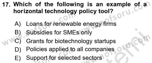 Economics Of Science Technology And İnnovation Dersi 2025 - 2026 Yılı (Final) Dönem Sonu Sınav Soruları 17. Soru