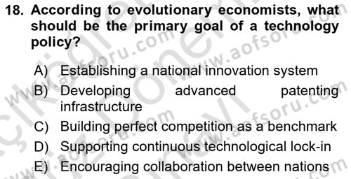 Economics Of Science Technology And İnnovation Dersi 2025 - 2026 Yılı (Final) Dönem Sonu Sınav Soruları 18. Soru