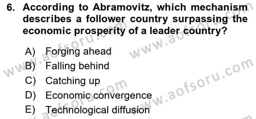 Economics Of Science Technology And İnnovation Dersi 2025 - 2026 Yılı (Final) Dönem Sonu Sınav Soruları 6. Soru
