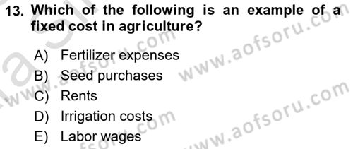 Agricultural Economics Dersi 2024 - 2025 Yılı (Vize) Ara Sınav Soruları 13. Soru