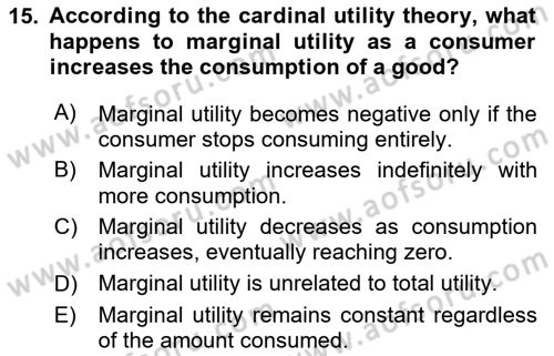 Agricultural Economics Dersi 2024 - 2025 Yılı (Vize) Ara Sınav Soruları 15. Soru
