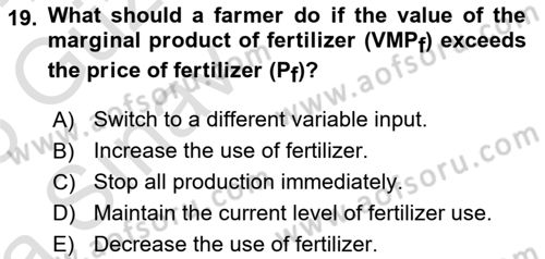 Agricultural Economics Dersi 2024 - 2025 Yılı (Vize) Ara Sınav Soruları 19. Soru