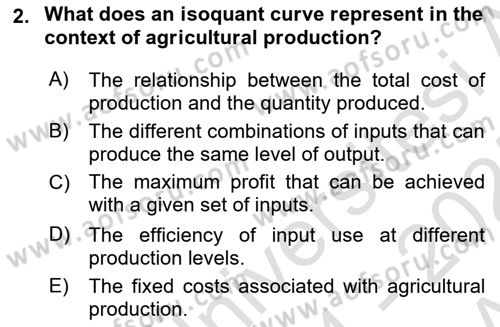 Agricultural Economics Dersi 2024 - 2025 Yılı (Vize) Ara Sınav Soruları 2. Soru