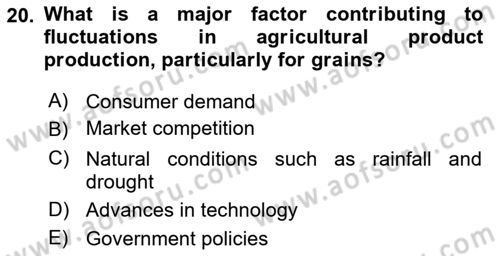 Agricultural Economics Dersi 2024 - 2025 Yılı (Vize) Ara Sınav Soruları 20. Soru
