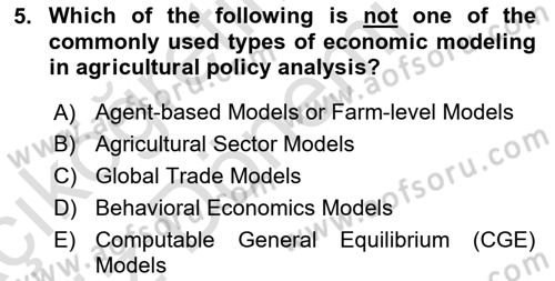 Agricultural Economics Dersi 2024 - 2025 Yılı (Vize) Ara Sınav Soruları 5. Soru