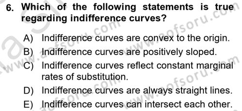 Agricultural Economics Dersi 2024 - 2025 Yılı (Vize) Ara Sınav Soruları 6. Soru