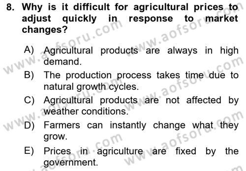 Agricultural Economics Dersi 2024 - 2025 Yılı (Vize) Ara Sınav Soruları 8. Soru