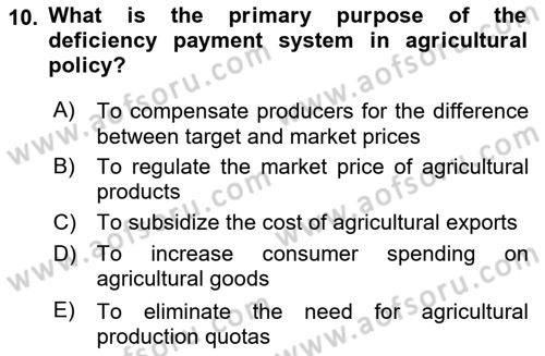 Agricultural Economics Dersi 2024 - 2025 Yılı (Final) Dönem Sonu Sınav Soruları 10. Soru