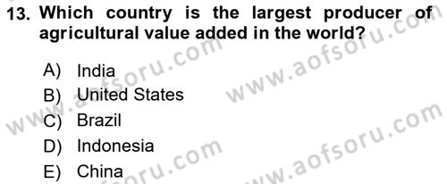 Agricultural Economics Dersi 2024 - 2025 Yılı (Final) Dönem Sonu Sınav Soruları 13. Soru