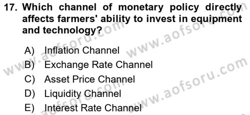 Agricultural Economics Dersi 2024 - 2025 Yılı (Final) Dönem Sonu Sınav Soruları 17. Soru