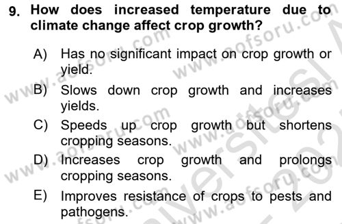 Agricultural Economics Dersi 2024 - 2025 Yılı (Final) Dönem Sonu Sınav Soruları 9. Soru