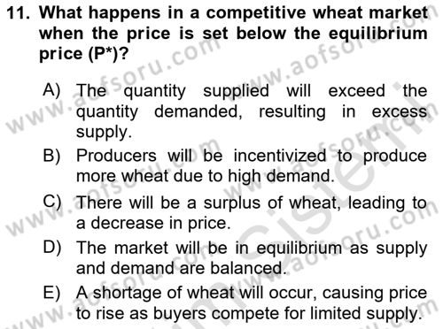 Agricultural Economics Dersi 2024 - 2025 Yılı Yaz Okulu Sınav Soruları 11. Soru