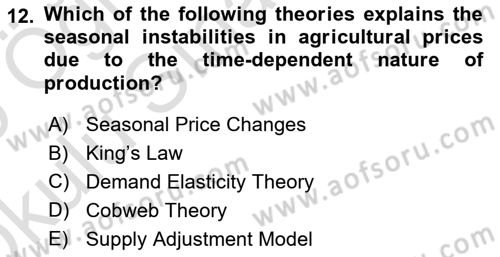 Agricultural Economics Dersi 2024 - 2025 Yılı Yaz Okulu Sınav Soruları 12. Soru