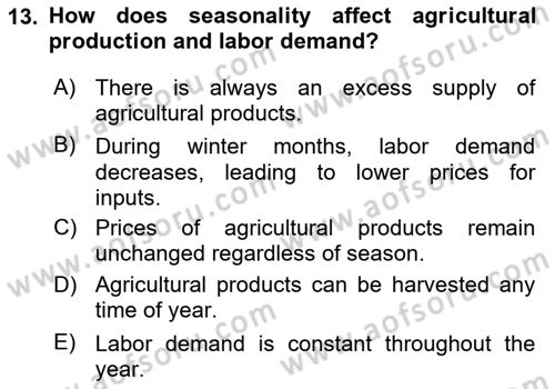 Agricultural Economics Dersi 2024 - 2025 Yılı Yaz Okulu Sınav Soruları 13. Soru