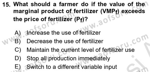 Agricultural Economics Dersi 2024 - 2025 Yılı Yaz Okulu Sınav Soruları 15. Soru