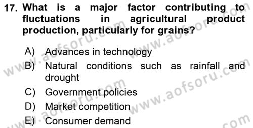 Agricultural Economics Dersi 2024 - 2025 Yılı Yaz Okulu Sınav Soruları 17. Soru