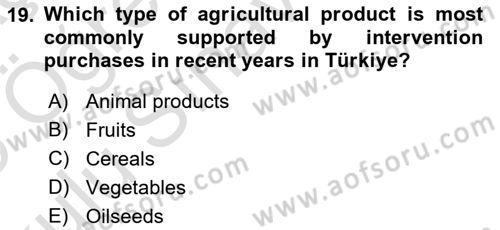 Agricultural Economics Dersi 2024 - 2025 Yılı Yaz Okulu Sınav Soruları 19. Soru