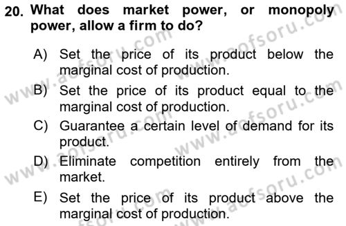 Agricultural Economics Dersi 2024 - 2025 Yılı Yaz Okulu Sınav Soruları 20. Soru