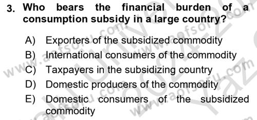 Agricultural Economics Dersi 2024 - 2025 Yılı Yaz Okulu Sınav Soruları 3. Soru