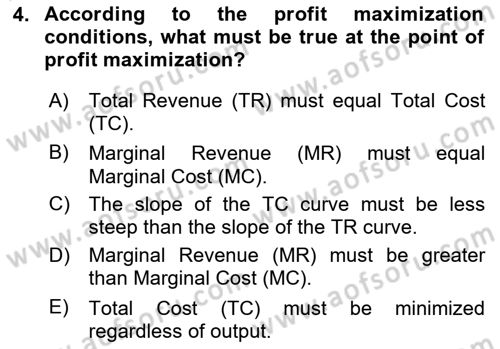 Agricultural Economics Dersi 2024 - 2025 Yılı Yaz Okulu Sınav Soruları 4. Soru