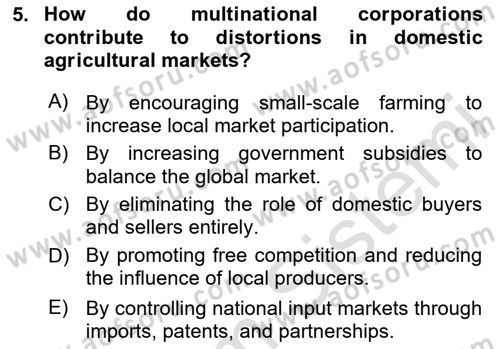Agricultural Economics Dersi 2024 - 2025 Yılı Yaz Okulu Sınav Soruları 5. Soru