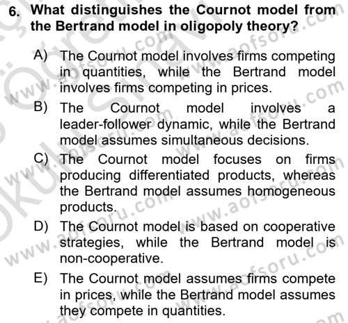 Agricultural Economics Dersi 2024 - 2025 Yılı Yaz Okulu Sınav Soruları 6. Soru