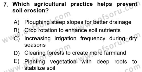 Agricultural Economics Dersi 2024 - 2025 Yılı Yaz Okulu Sınav Soruları 7. Soru