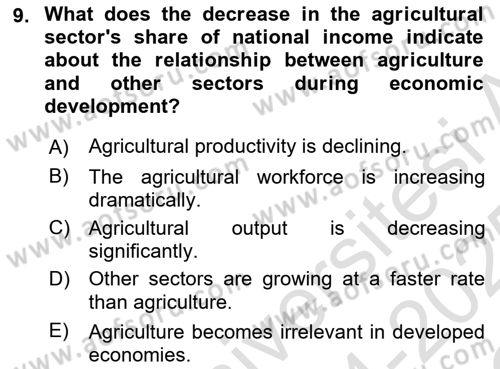 Agricultural Economics Dersi 2024 - 2025 Yılı Yaz Okulu Sınav Soruları 9. Soru