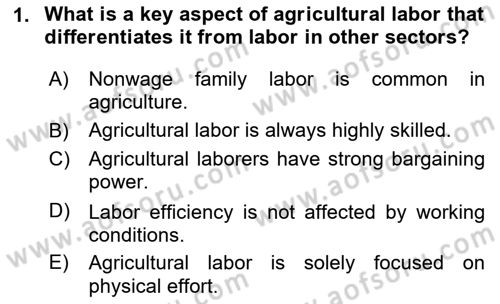 Agricultural Economics Dersi 2025 - 2026 Yılı (Vize) Ara Sınav Soruları 1. Soru