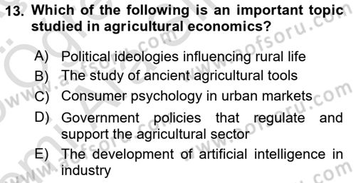 Agricultural Economics Dersi 2025 - 2026 Yılı (Vize) Ara Sınav Soruları 13. Soru