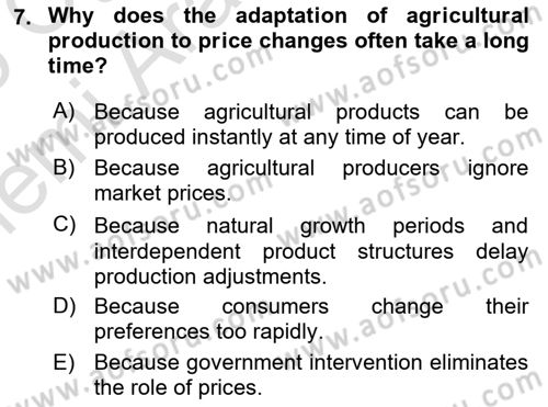 Agricultural Economics Dersi 2025 - 2026 Yılı (Vize) Ara Sınav Soruları 7. Soru