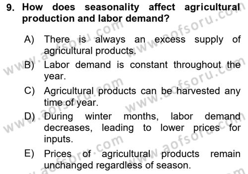 Agricultural Economics Dersi 2025 - 2026 Yılı (Vize) Ara Sınav Soruları 9. Soru
