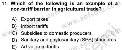 Agricultural Economics Dersi 2025 - 2026 Yılı (Final) Dönem Sonu Sınav Soruları 11. Soru