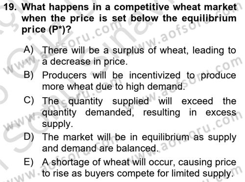 Agricultural Economics Dersi 2025 - 2026 Yılı (Final) Dönem Sonu Sınav Soruları 19. Soru