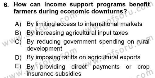 Agricultural Economics Dersi 2025 - 2026 Yılı (Final) Dönem Sonu Sınav Soruları 6. Soru