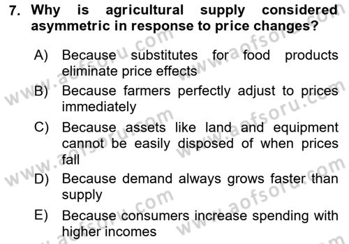 Agricultural Economics Dersi 2025 - 2026 Yılı (Final) Dönem Sonu Sınav Soruları 7. Soru