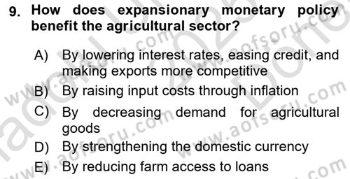 Agricultural Economics Dersi 2025 - 2026 Yılı (Final) Dönem Sonu Sınav Soruları 9. Soru