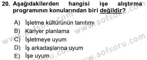 Örgütlerde İnsan Kaynakları Yönetimi Dersi 2015 - 2016 Yılı (Vize) Ara Sınav Soruları 20. Soru