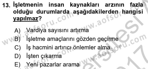 Örgütlerde İnsan Kaynakları Yönetimi Dersi 2016 - 2017 Yılı (Vize) Ara Sınav Soruları 13. Soru