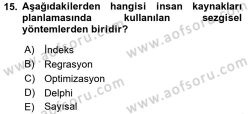 Örgütlerde İnsan Kaynakları Yönetimi Dersi 2016 - 2017 Yılı (Vize) Ara Sınav Soruları 15. Soru