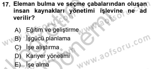 Örgütlerde İnsan Kaynakları Yönetimi Dersi 2016 - 2017 Yılı (Vize) Ara Sınav Soruları 17. Soru