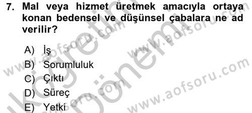 Örgütlerde İnsan Kaynakları Yönetimi Dersi 2016 - 2017 Yılı (Vize) Ara Sınav Soruları 7. Soru
