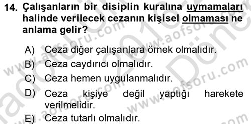 Örgütlerde İnsan Kaynakları Yönetimi Dersi 2016 - 2017 Yılı (Final) Dönem Sonu Sınav Soruları 14. Soru